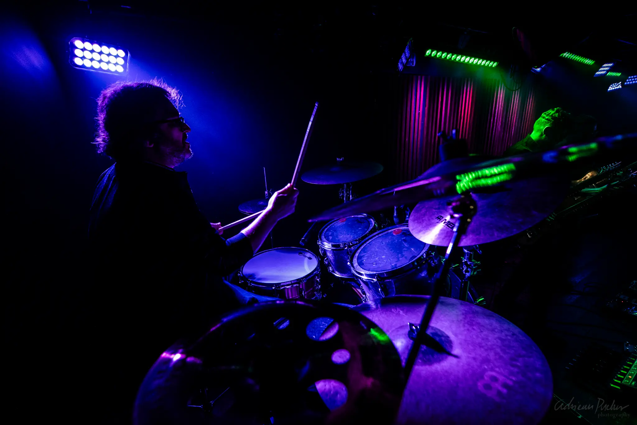 Deadly Mantis live photo