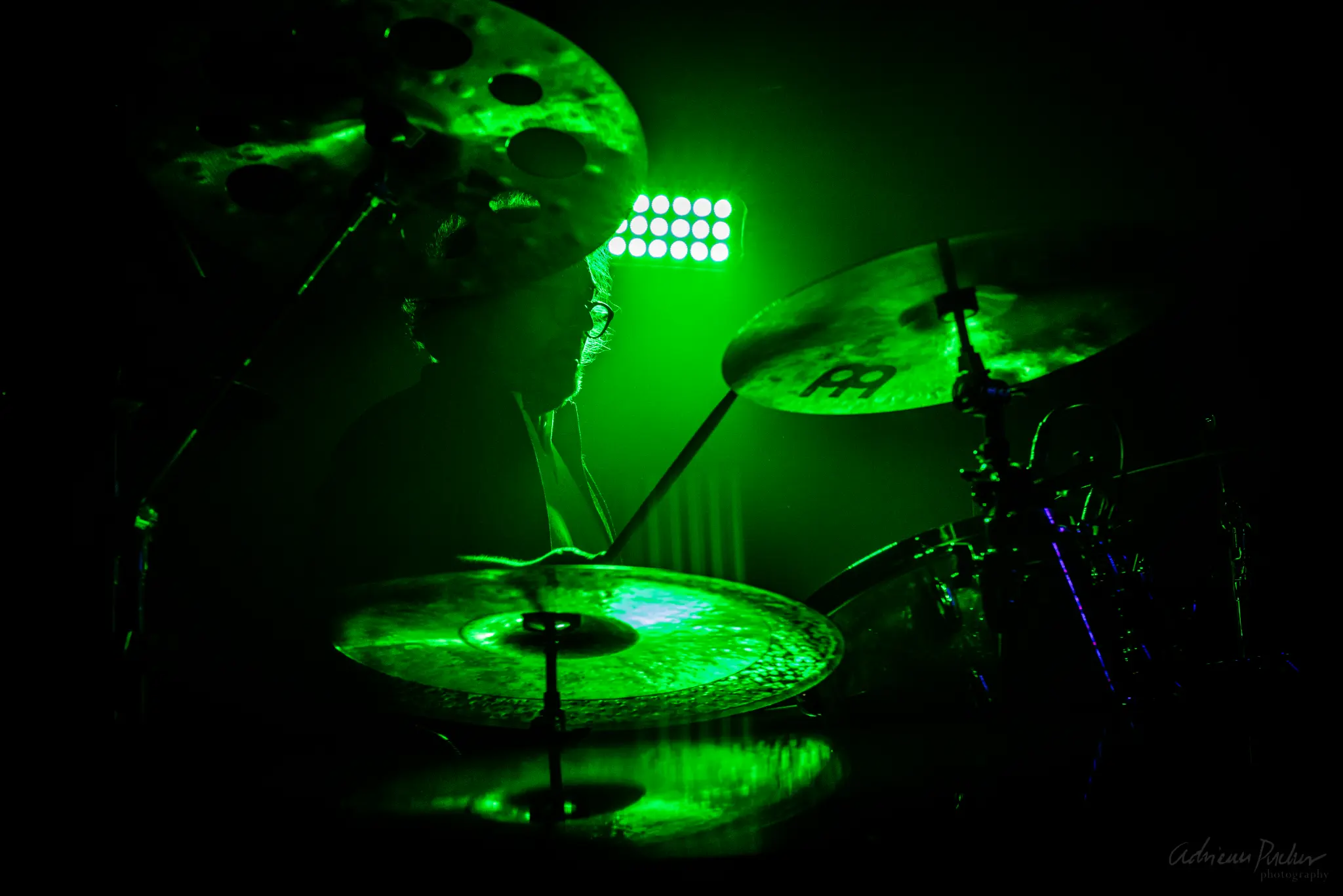 Deadly Mantis live photo