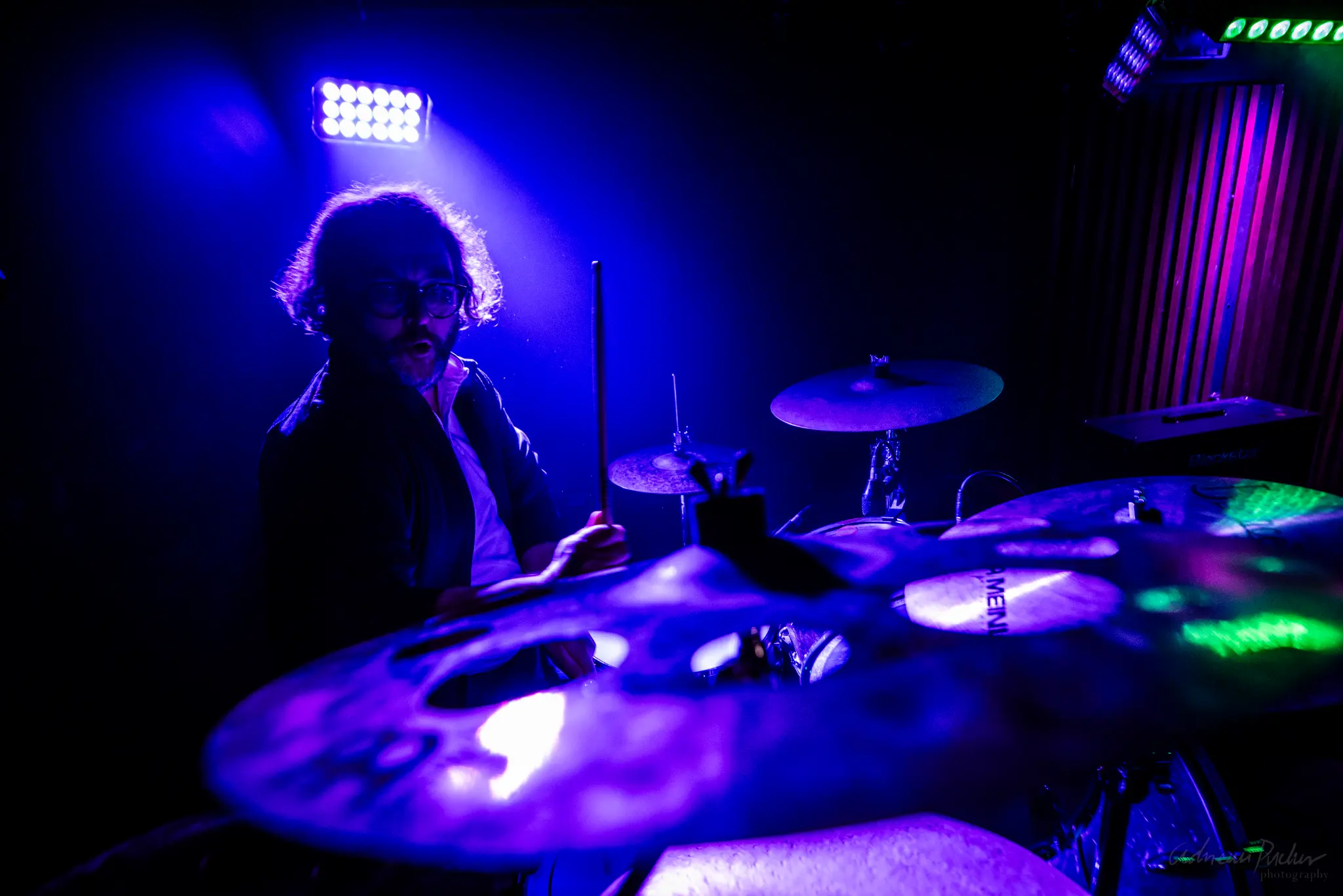 Deadly Mantis live photo